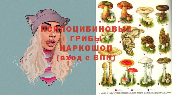 мяу мяу мука Алзамай