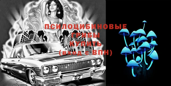 стафф Алексин