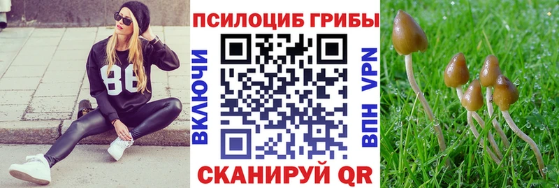 Псилоцибиновые грибы Cubensis  Купить закладки  Сельцо 
